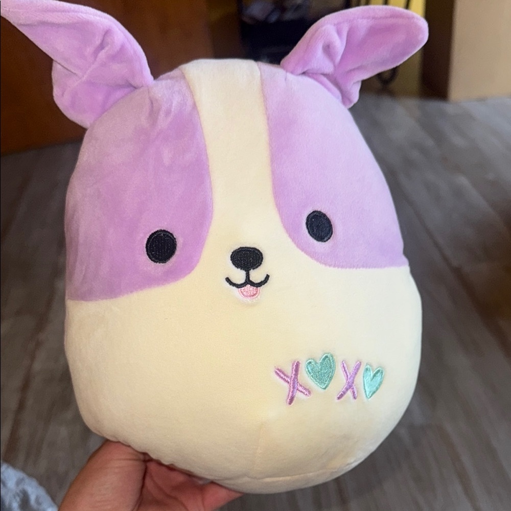 XOXO Dog